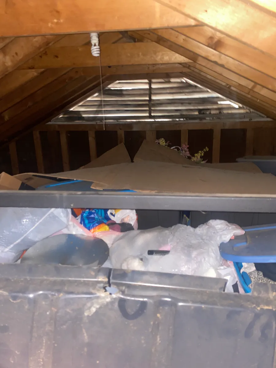 Attic items during a cleanout